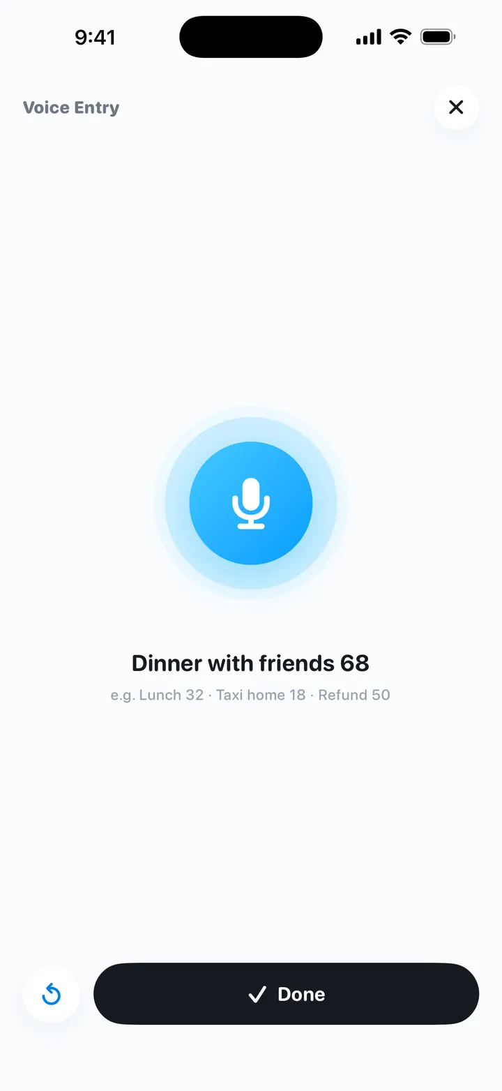 My Money voice entry screen